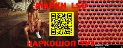 скорость Кингисепп
