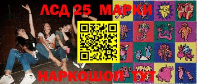 скорость Кингисепп