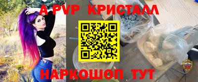 скорость Кингисепп