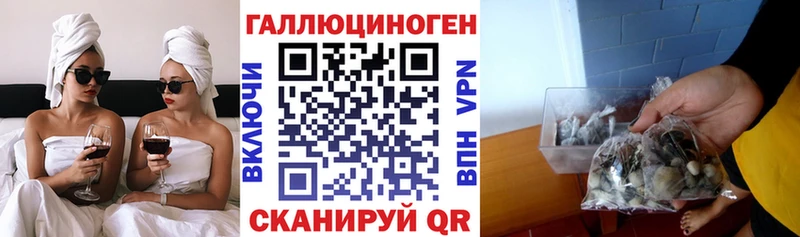 Галлюциногенные грибы мухоморы  кракен ССЫЛКА  Тула 