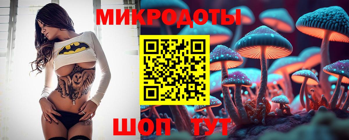 Галлюциногенные грибы Magic Shrooms Тула