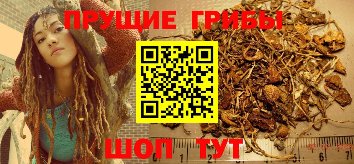 Псилоцибиновые грибы Magic Shrooms  Псилоцибиновые грибы Cubensis  Тула  Вход с VPN 